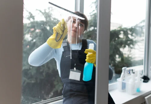 Nettoyage de vitres intérieures et extérieures à Évriguet